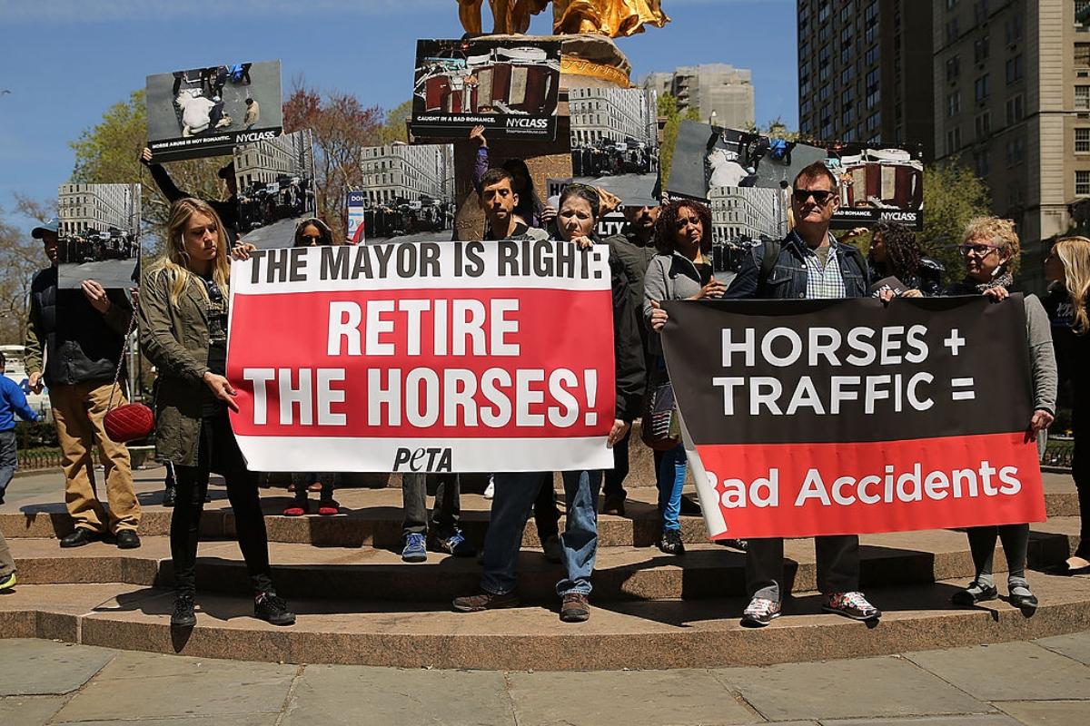 protestors against horse carriages in NYC