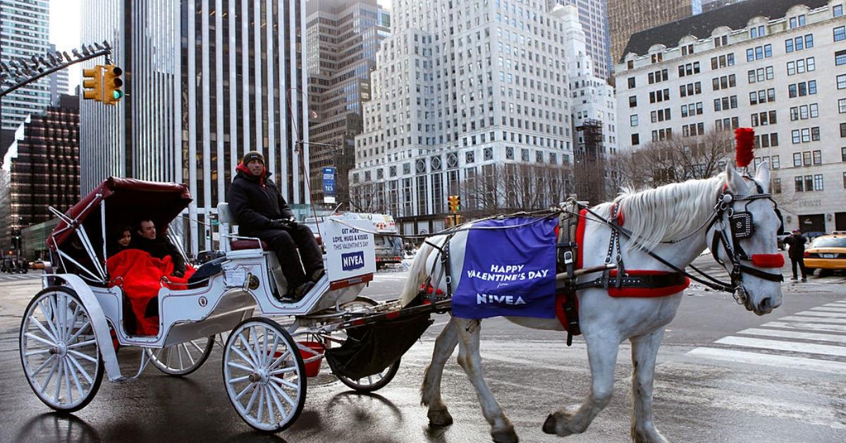 NYC Carriage Horse, Black Jack, Dies From Colic